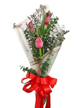 3 red tulips white