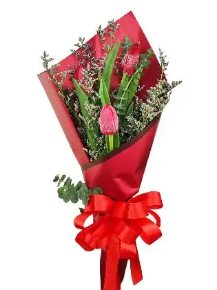 3 red tulips maroon