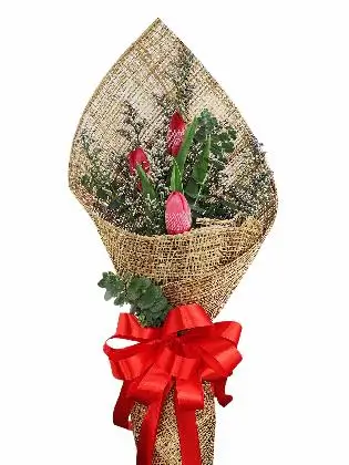 3 red tulips burlap PH
