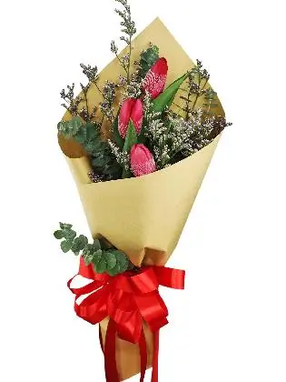 3 red tulips kraft