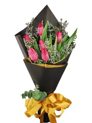 6 red tulips black/gold