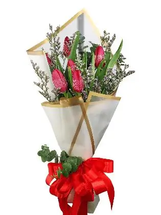 6 red tulips white