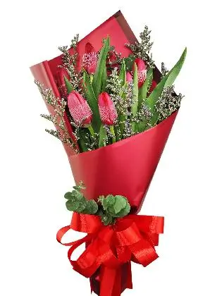 6 red tulips maroon