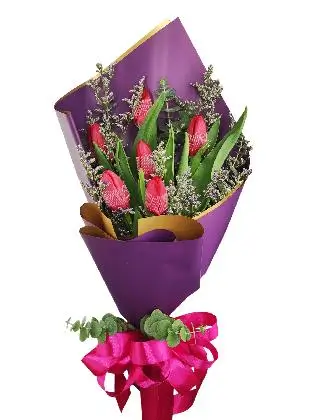 6 red tulips purple/gold