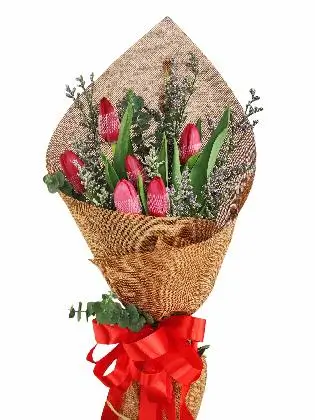 6 red tulips burlap CH