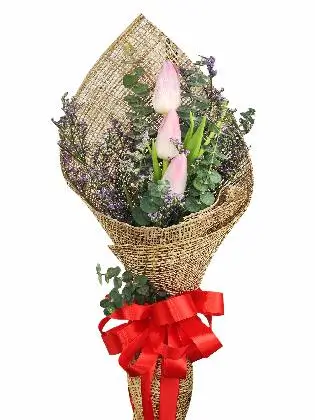 3 pink tulips burlap PH