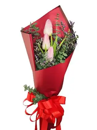 3 pink tulips maroon