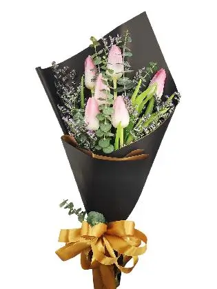 6 pink tulips black/gold