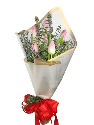6 pink tulips white