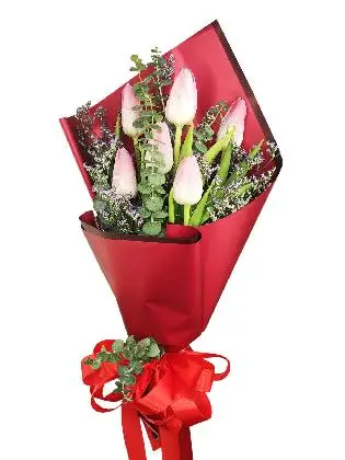 6 pink tulips maroon