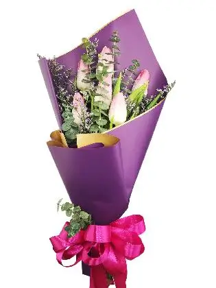 6 pink tulips purple/gold