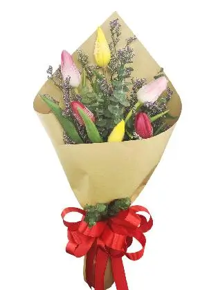 6 mixed tulips kraft