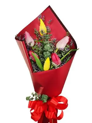 6 mixed tulips maroon