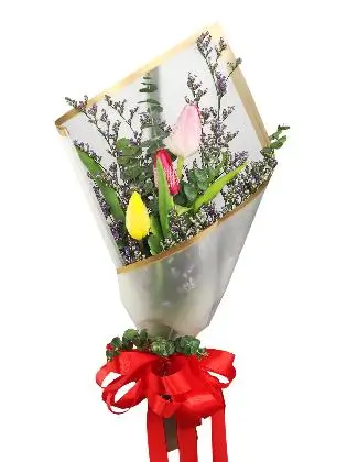 3 mix tulips white