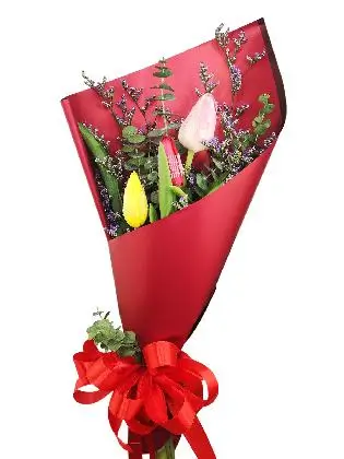 3 mix tulips maroon