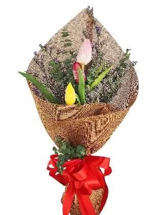 3 mix tulips burlap CH