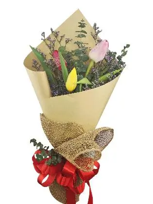 3 mixed tulips kraft/jute