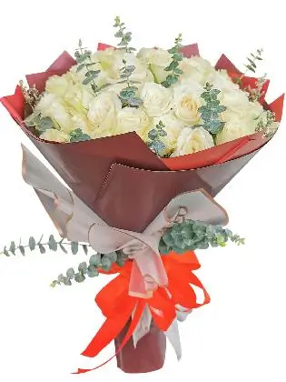 99 pcs white roses, maroon