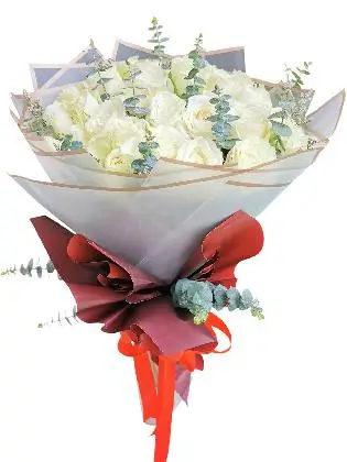 99 pcs white roses, white