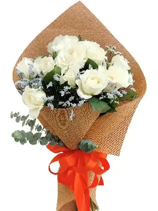 12 pcs white roses