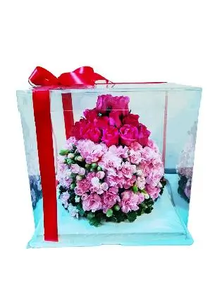 18-24 Stem Pink roses and Pink Carnation Spray
