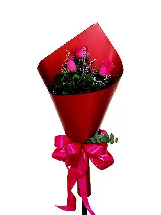 Pink Elegance Rose Bouquet