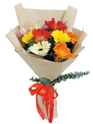 gerbera-blossoms