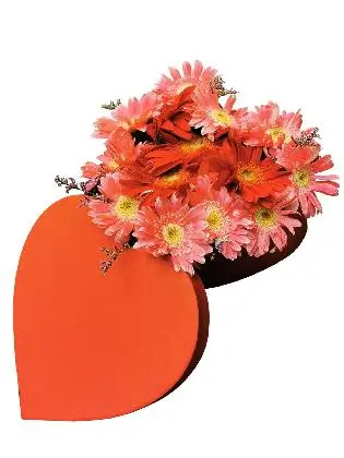captivating-long-stem-gerbera