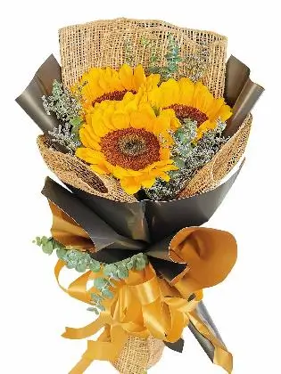 my-sunflower