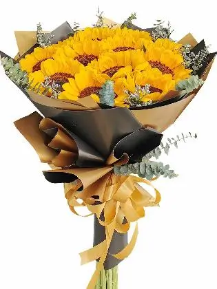 the-lively-sunflowers