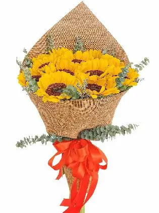 my-cheer-up-flowers