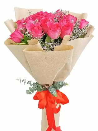 roseate