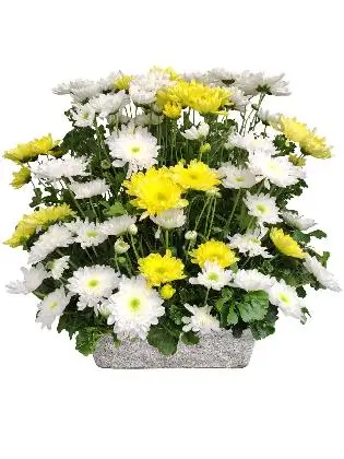 saints-day-flowers