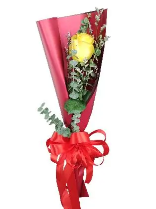 Objects of romance