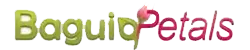 Online Flower shop in the Baguio city Philippines